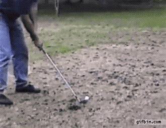 Acid Gifdump, October 12 (25 gifs)