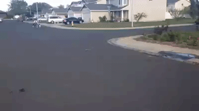 Acid Gifdump, October 12 (25 gifs)