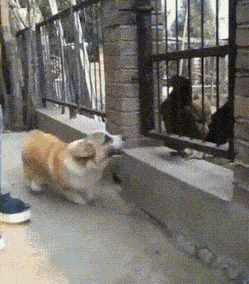 Acid Gifdump, October 12 (25 gifs)