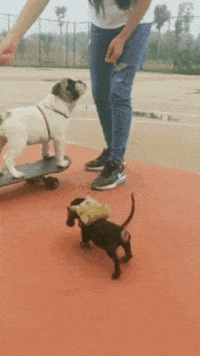 Acid Gifdump, October 12 (25 gifs)