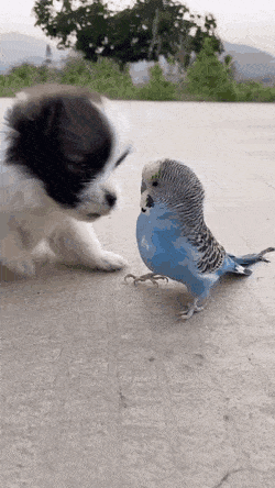 Acid Gifdump, October 12 (25 gifs)
