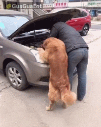 Acid Gifdump, October 12 (25 gifs)