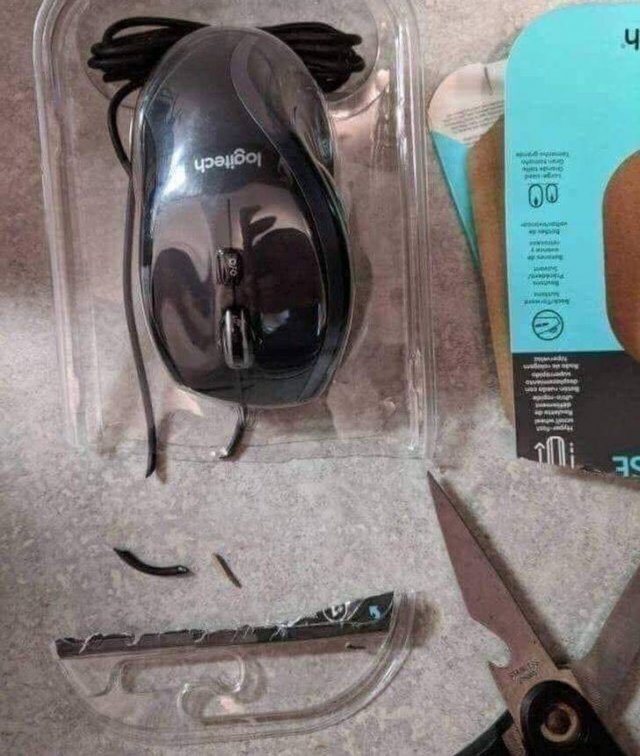 Funny Photos (43 pics)