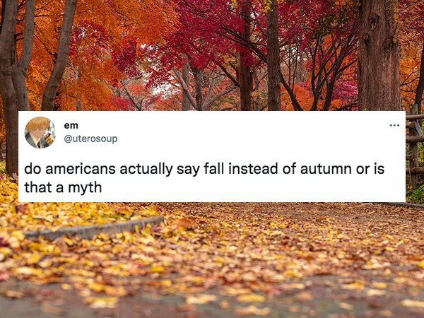 Halloween Things Non-Americans Still Don't Understand (27 pics)