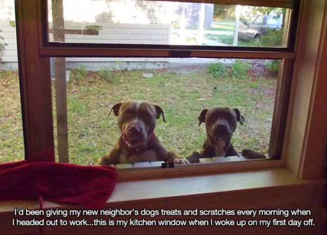 Wholesome Stories (52 pics)
