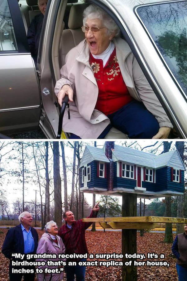 Wholesome Stories (52 pics)