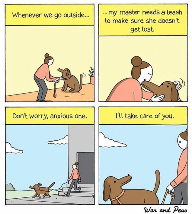 Wholesome Stories (52 pics)