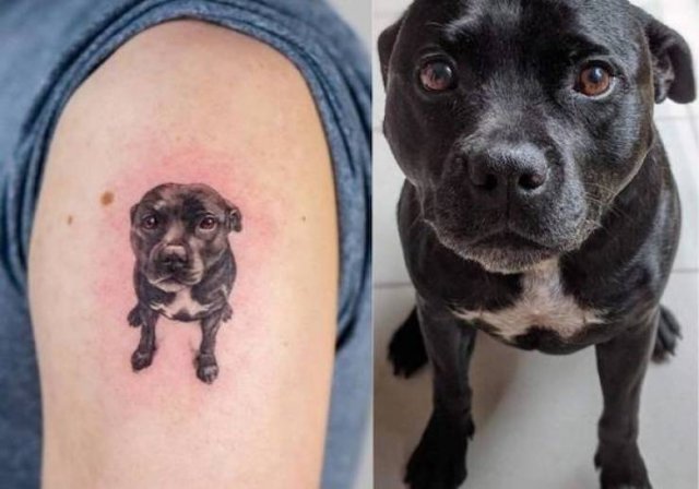 Wholesome Stories (52 pics)