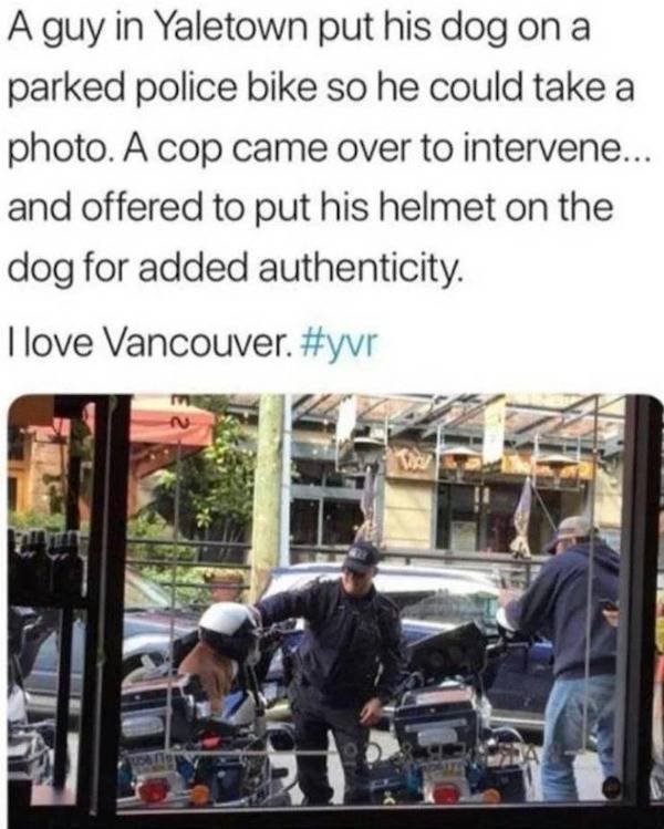 Wholesome Stories (52 pics)