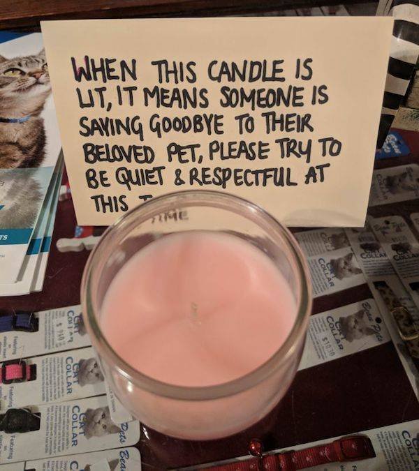 Wholesome Stories (52 pics)