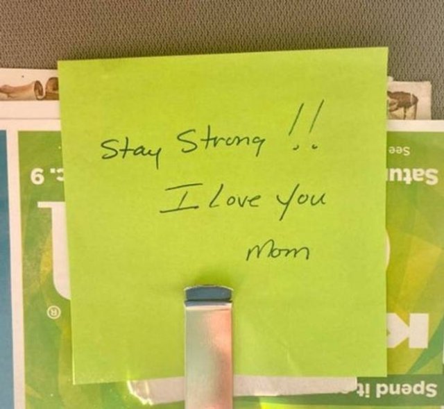 Wholesome Stories (52 pics)