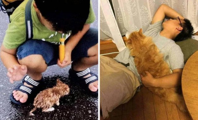 Wholesome Stories (52 pics)