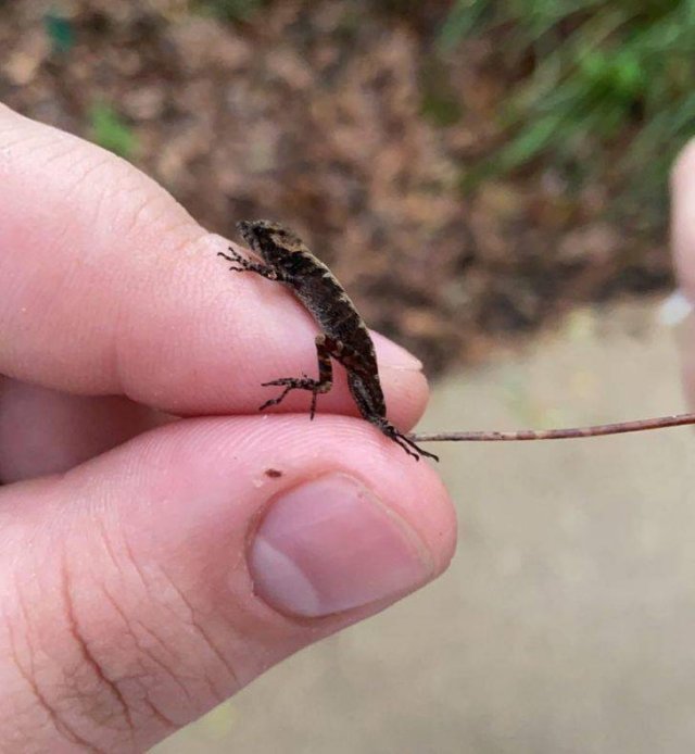 Nature Wonders (36 pics)