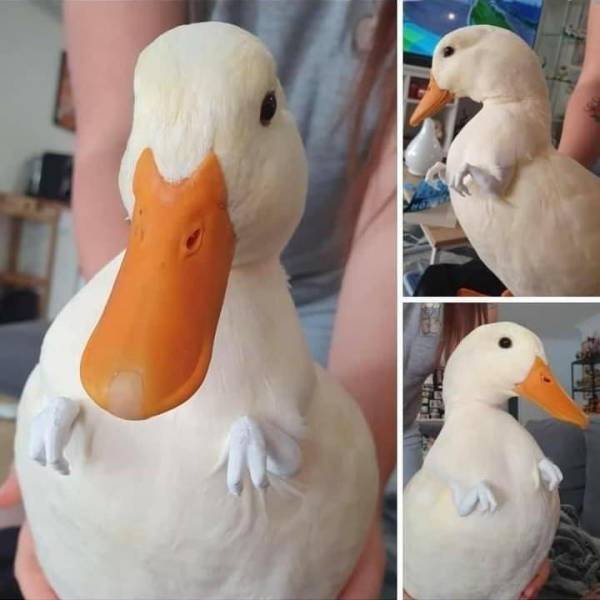 Acid Picdump 1 (92 pics)