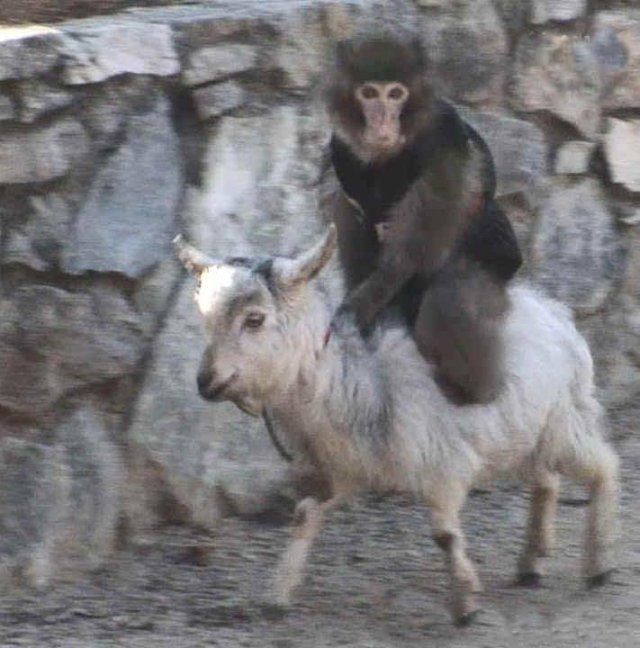 Acid Picdump 1 (92 pics)