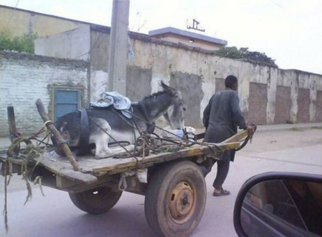 Acid Picdump 1 (92 pics)
