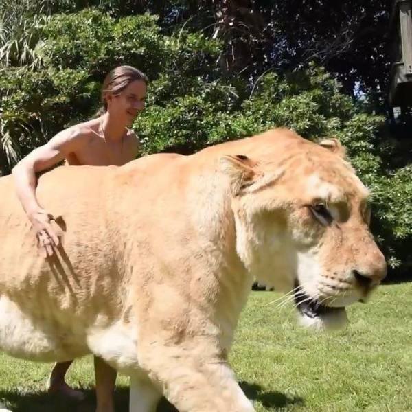 Acid Picdump 1 (92 pics)