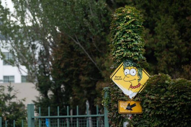 Acid Picdump 1 (92 pics)