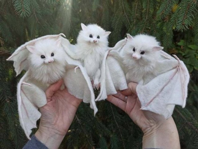 Acid Picdump 1 (92 pics)