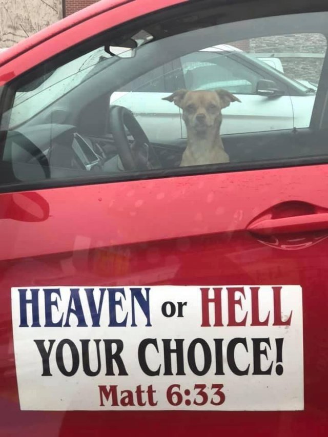 Acid Picdump 1 (92 pics)