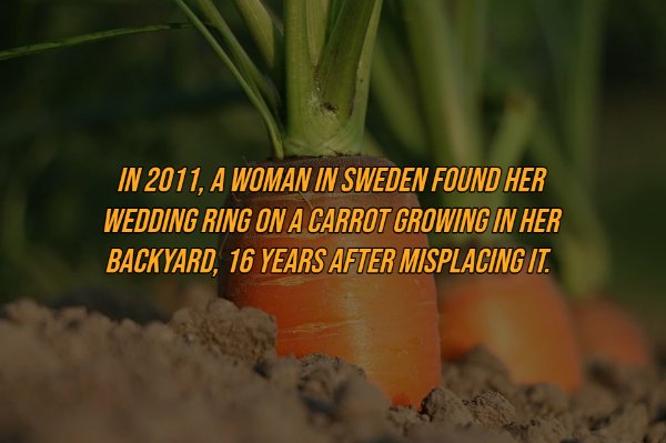 Interesting Facts (17 pics)