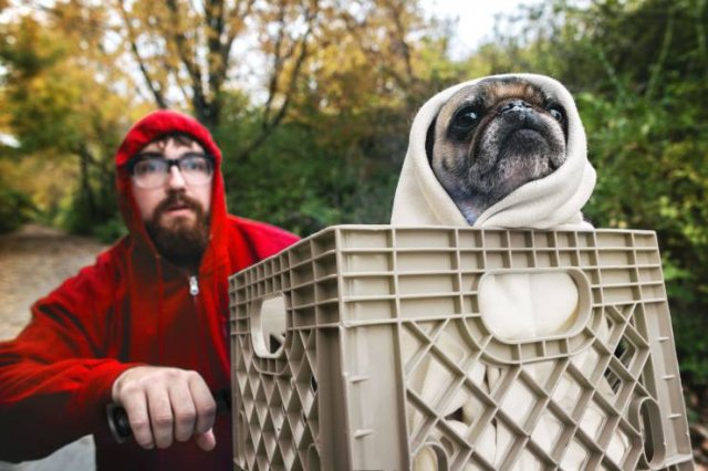 Halloween Costumes (33 pics) Halloween Costumes (33 pics)