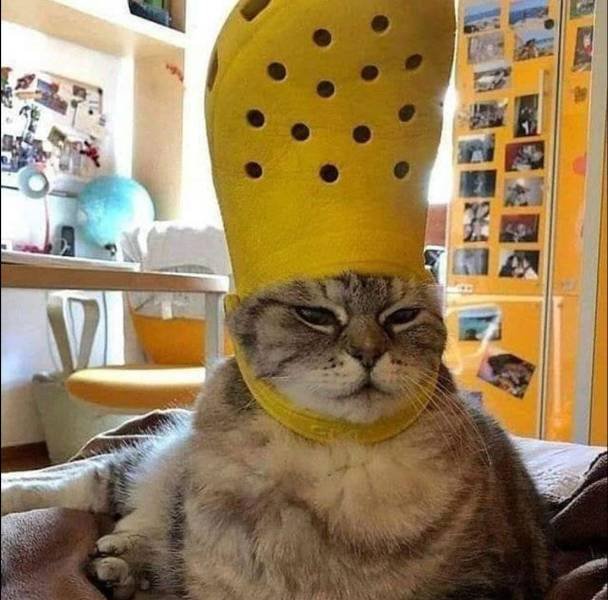 Acid Picdump 2 (92 pics)