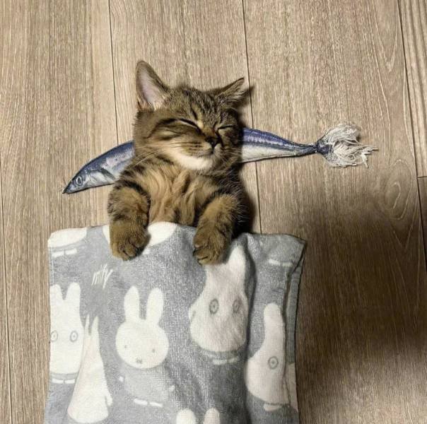 Acid Picdump 2 (92 pics)