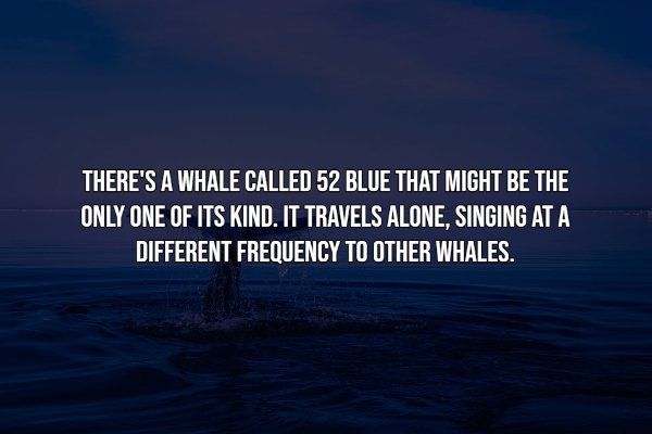 Intriguing Facts (20 pics)