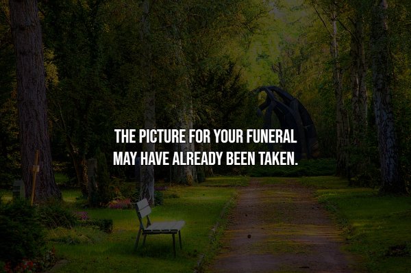 Intriguing Facts (20 pics)