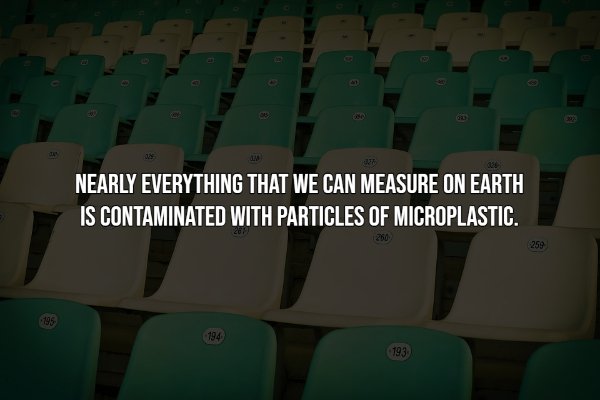 Intriguing Facts (20 pics)