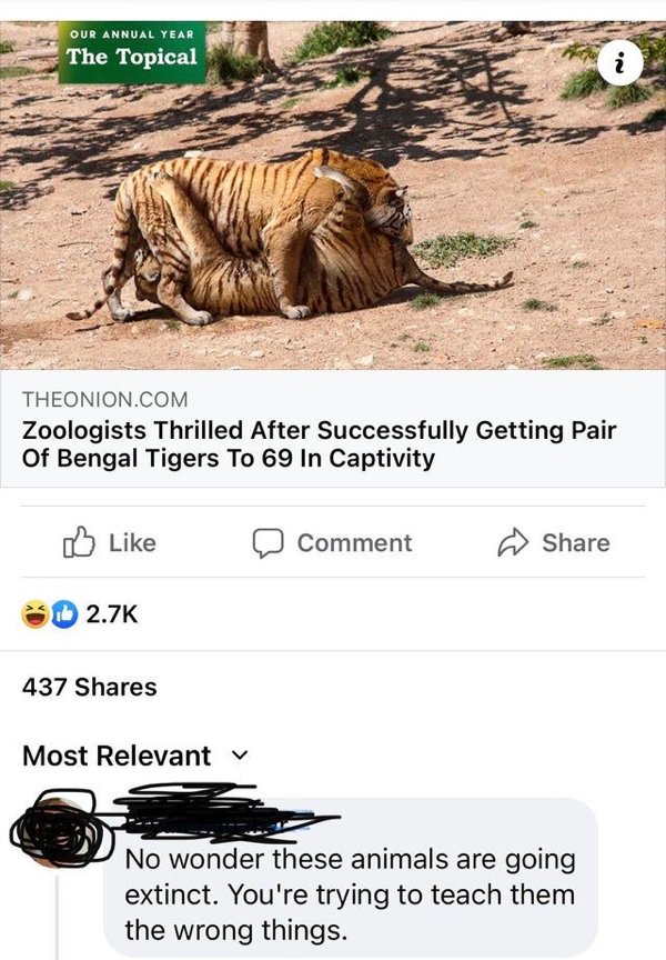 Absurd Headlines (28 pics)