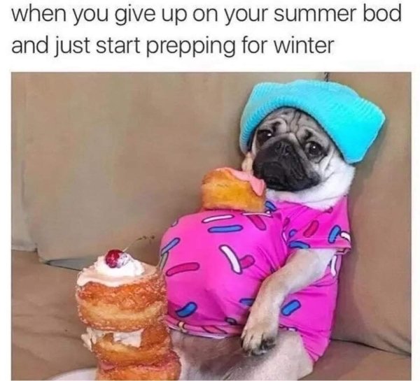 Cute Dogs (39 pics)