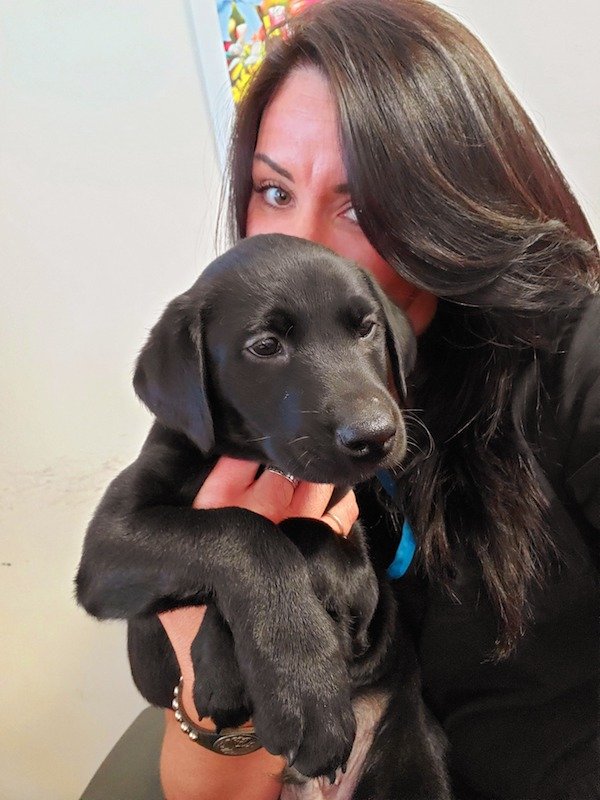Cute Dogs (39 pics)
