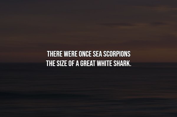 Intriguing Facts (20 pics)