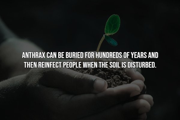 Intriguing Facts (20 pics)