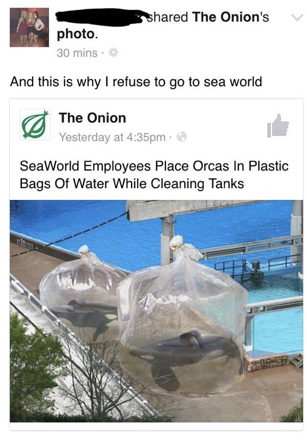 Absurd Headlines (28 pics)