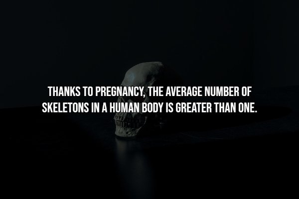 Intriguing Facts (20 pics)