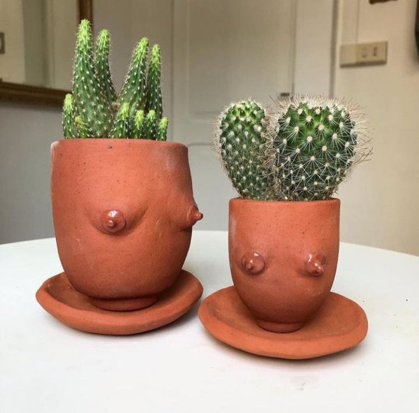 OMG Photos (28 pics)