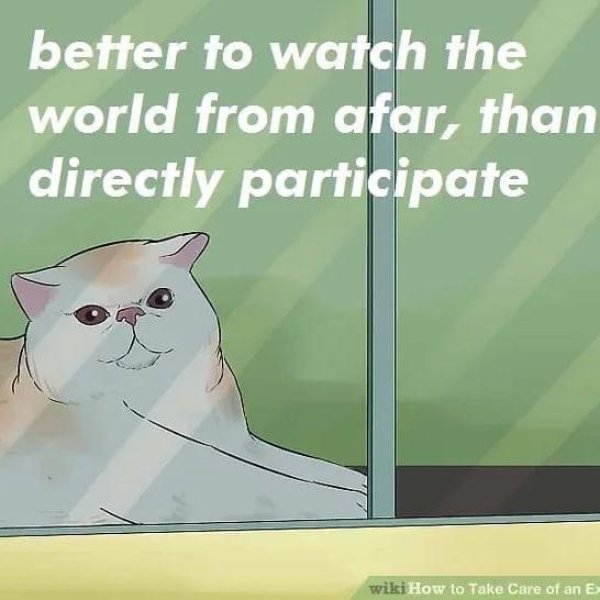 Random Funny Memes (22 pics)