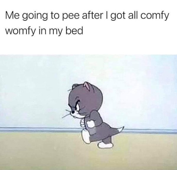 Random Funny Memes (22 pics)