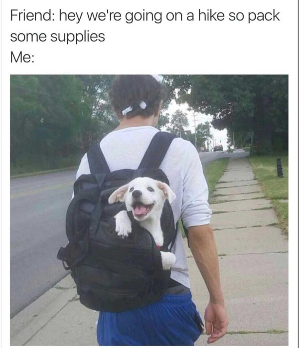 Random Funny Memes (22 pics)