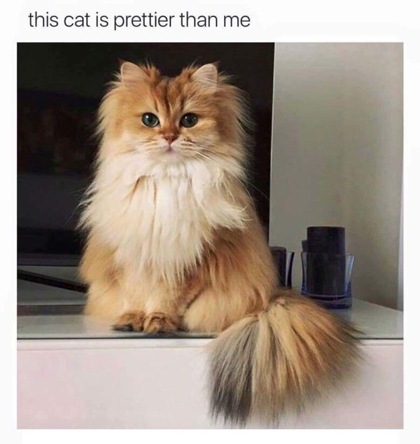Random Funny Memes (22 pics)