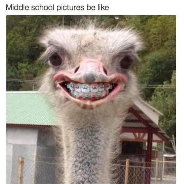 Random Funny Memes (22 pics)