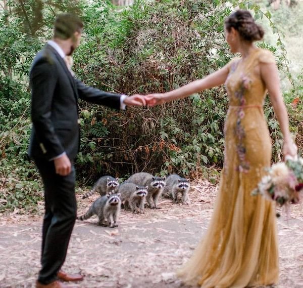 Unusual Weddings (20 pics)
