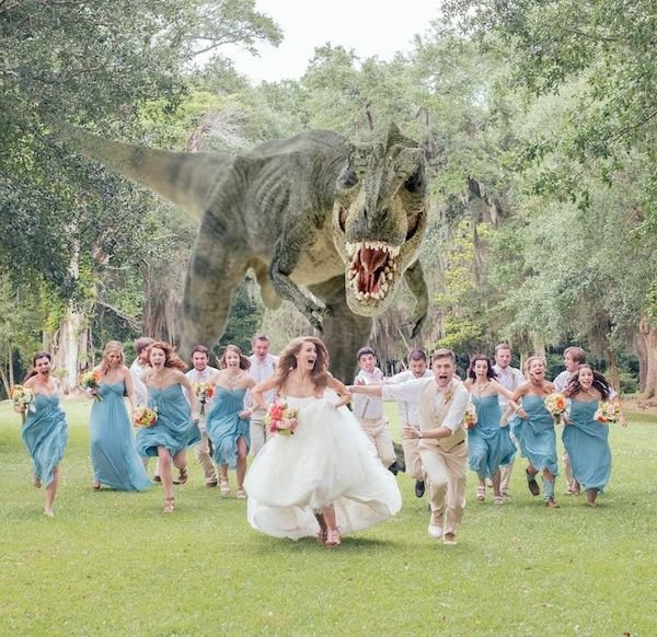 Unusual Weddings (20 pics)
