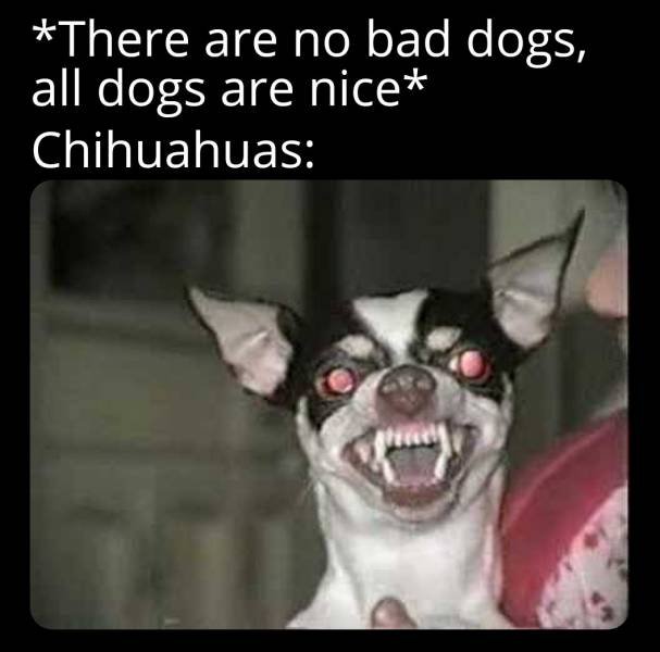 Acid Picdump 2 (92 pics)