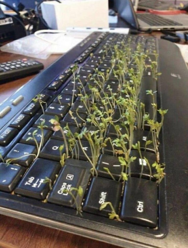 Acid Picdump 1 (93 pics)