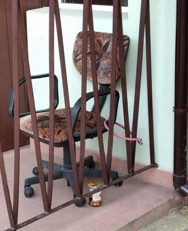 Acid Picdump 1 (93 pics)