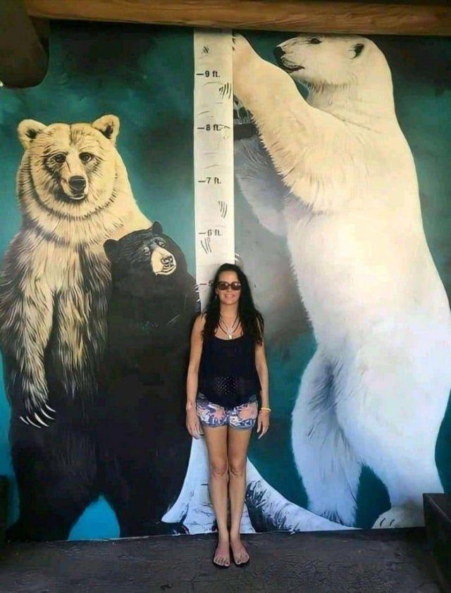 Acid Picdump 1 (93 pics)